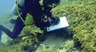 Diver recording features of a shipwreck