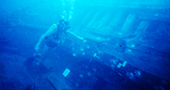 A diver examines the wreck of the Santo António de Tanna